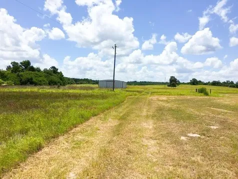 11695 Fm 1511 Oakwood TX 75831
