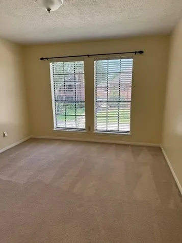 3511 Shanemoss Court Houston TX 77068