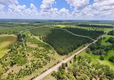 000 County Road 1450 Warren TX 77664