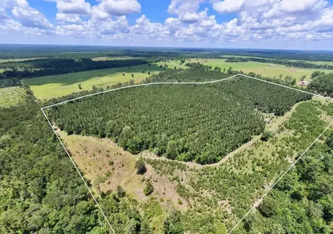 000 County Road 1450 Warren TX 77664