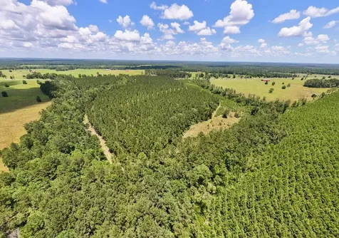 000 County Road 1450 Warren TX 77664