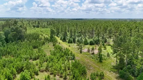 000 County Road 1450 Warren TX 77664