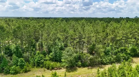 000 County Road 1450 Warren TX 77664