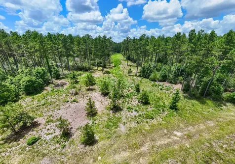 000 County Road 1450 Warren TX 77664