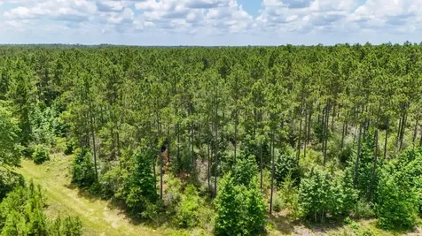 000 County Road 1450 Warren TX 77664