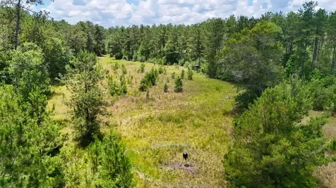 000 County Road 1450 Warren TX 77664