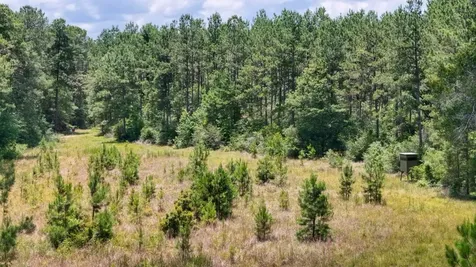 000 County Road 1450 Warren TX 77664