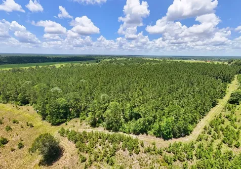 000 County Road 1450 Warren TX 77664