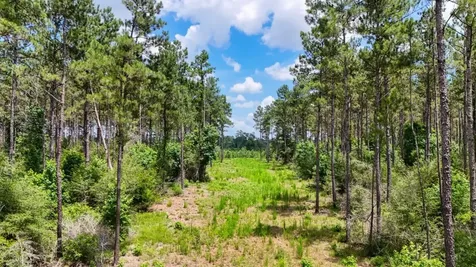 000 County Road 1450 Warren TX 77664