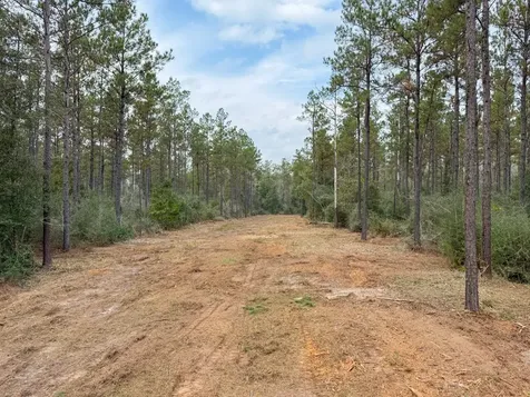 000 County Road 1450 Warren TX 77664