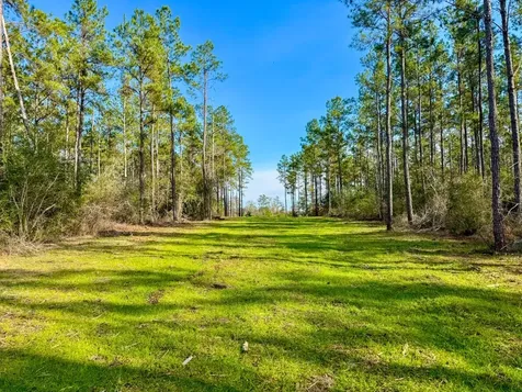 000 County Road 1450 Warren TX 77664