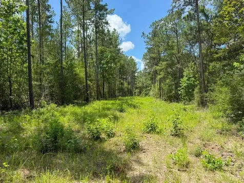 000 County Road 1450 Warren TX 77664