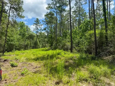 000 County Road 1450 Warren TX 77664