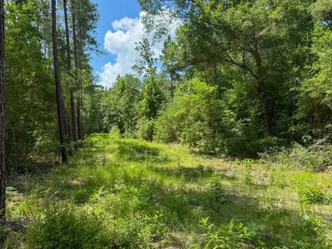 000 County Road 1450 Warren TX 77664