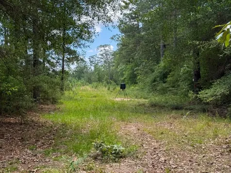 000 County Road 1450 Warren TX 77664