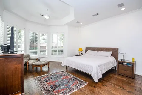 19 Clear Springs Court Sugar Land TX 77479