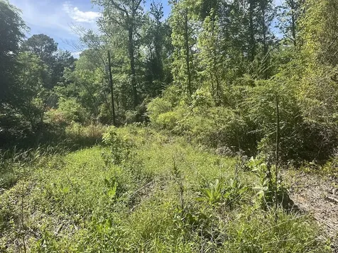 0 Pearson Street Avinger TX 75630