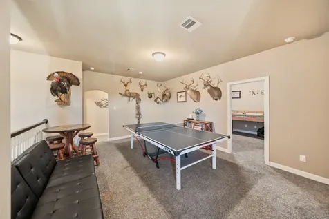 10744 S Lake Mist Lane Willis TX 77318