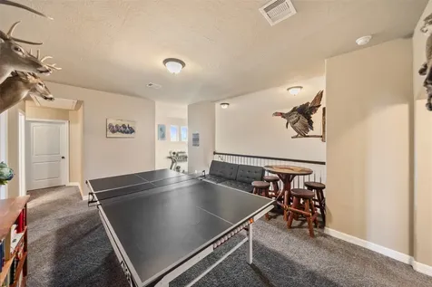 10744 S Lake Mist Lane Willis TX 77318