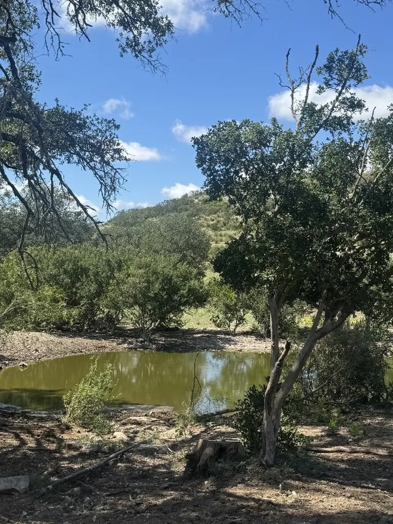 Lot 32 Private Road Rocksprings TX 78880