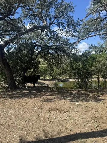 Lot 32 Private Road Rocksprings TX 78880