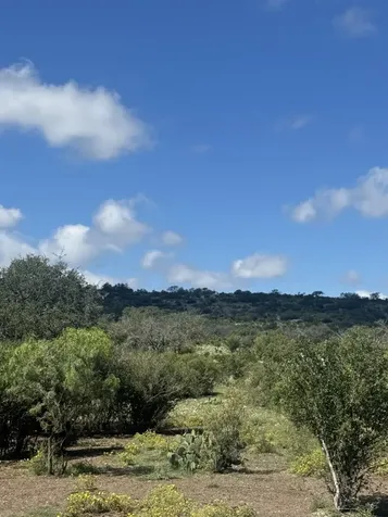 Lot 32 Private Road Rocksprings TX 78880