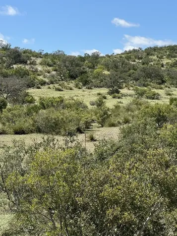 Lot 32 Private Road Rocksprings TX 78880