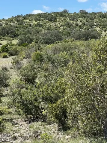 Lot 32 Private Road Rocksprings TX 78880