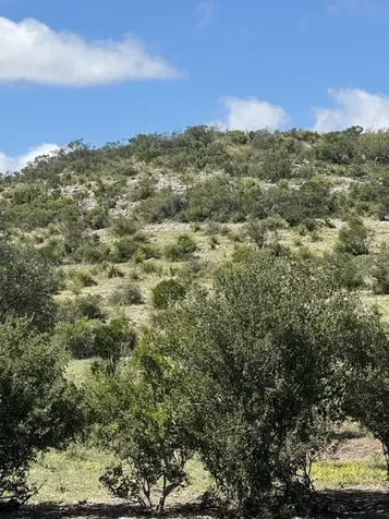 Lot 32 Private Road Rocksprings TX 78880