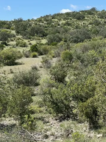 Lot 32 Private Road Rocksprings TX 78880