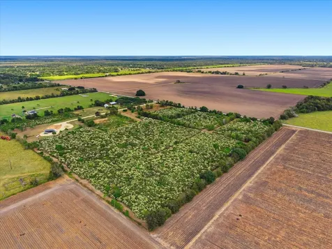 Lot 6 Cow Creek Road Damon TX 77430