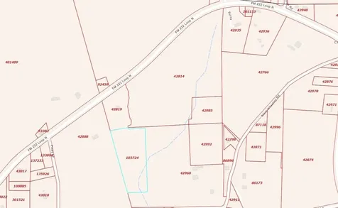 00 Fm-222 Coldspring TX 77331