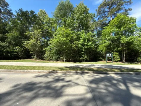 3057 Pampaneria Drive Conroe TX 77301