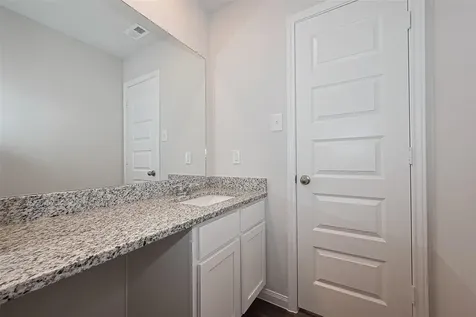 2412 Cave Fish Court Conroe TX 77384