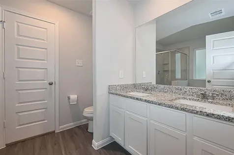 2412 Cave Fish Court Conroe TX 77384