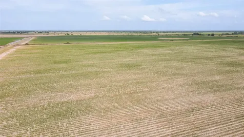 1113 County Road 395 Louise TX 77455