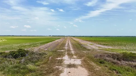 1113 County Road 395 Louise TX 77455