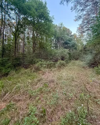 0 Sh 75 South Huntsville TX 77340