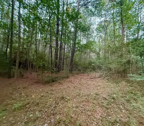 0 Sh 75 South Huntsville TX 77340