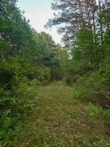 0 Sh 75 South Huntsville TX 77340