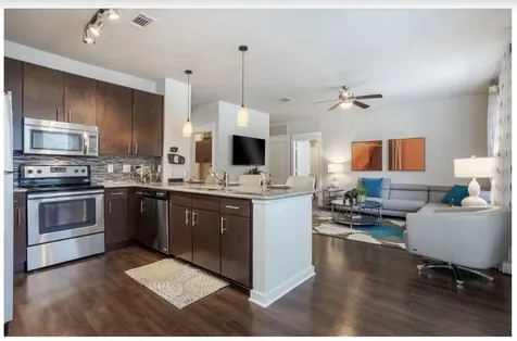 15255 Vintage Preserve Parkway 1316 Houston TX 77070