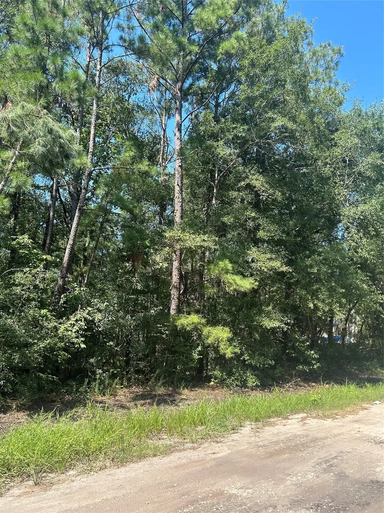 Tbd Southland Circle Livingston TX 77351