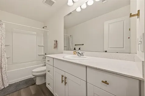 1013 Lacebark Pine Lane Brookshire TX 77423