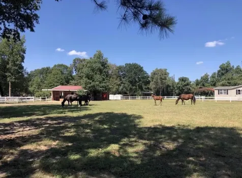 26768 B Dobbin Huffsmith Road Magnolia TX 77354