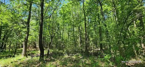 Tbd Cr 3233 E And Cr 3230 Clarksville TX 75426