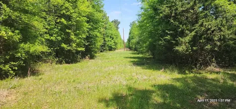 Tbd Cr 3233 E And Cr 3230 Clarksville TX 75426