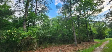 Tbd Cr 3233 E And Cr 3230 Clarksville TX 75426