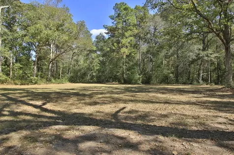 Tbd County Road 57 Iowa Colony TX 77583