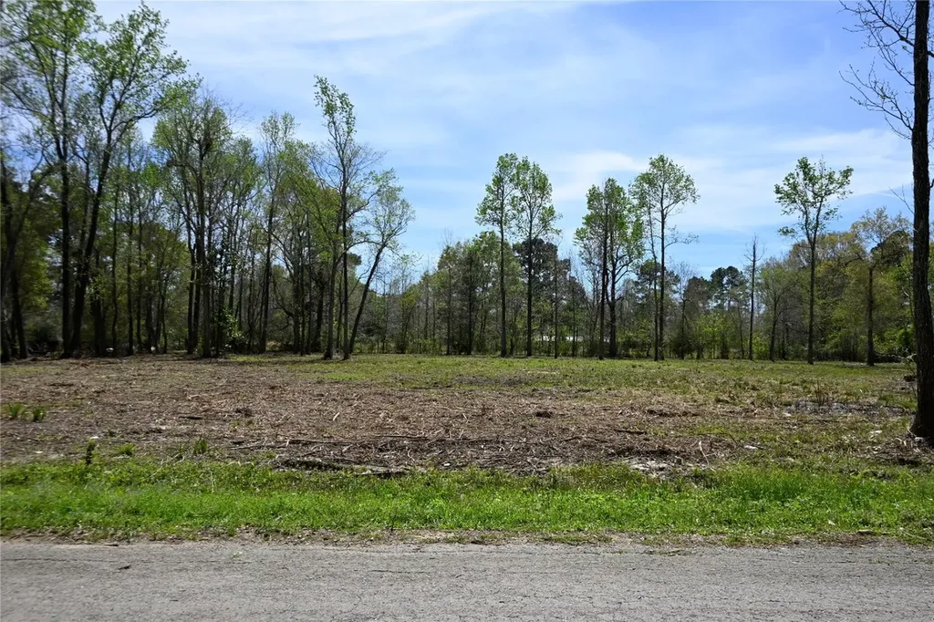 Lot 5 County Road 2360 Hardin TX 77575