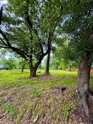 1926 Dolly Wright Road Houston TX 77088